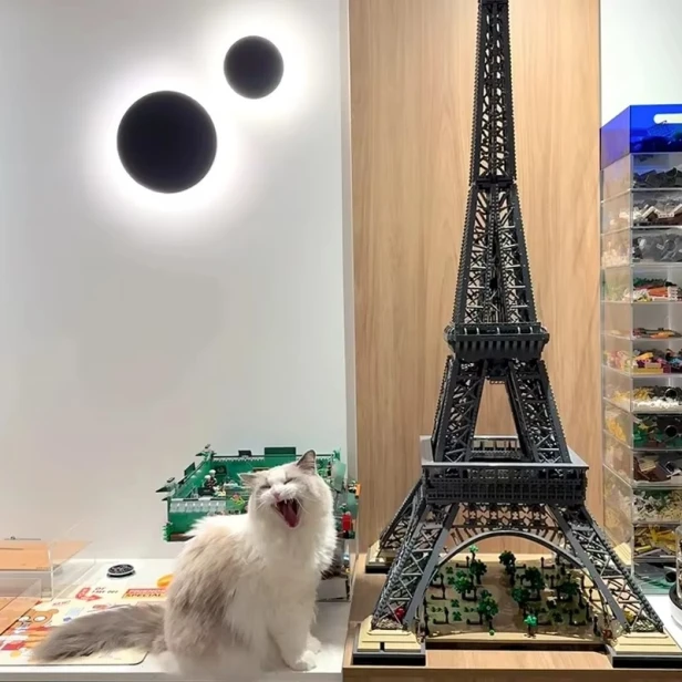 4202