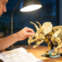 Szkielet Dinozaura Triceratops 2688 Elementów